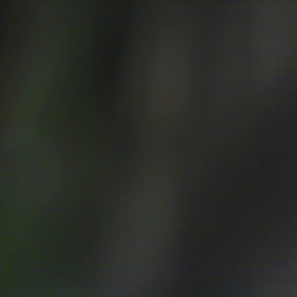 Meet your Posher, Maieve - Picture 1 of 1